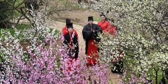 Peach-blossom-master.jpg