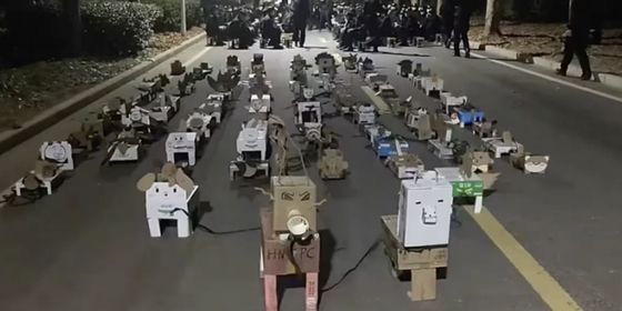 Chinese students cardboard pets